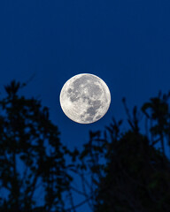 Fototapeta premium Full Moon. Arecibo, Puerto Rico