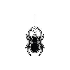 Obraz premium Black Spider Hanging on Web Thread Silhouette Icon Vector Art