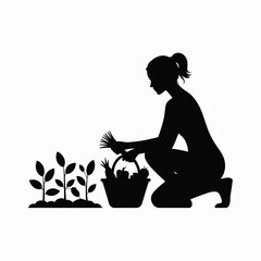 Black silhouette illustration of a woman tending to seedlings with a basket silhouette vector illustration white background