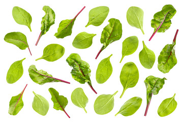 Green mixed greens - spinach and chard leaves pattern, isolated on white background. Lush leafy greens salad background. Fresh organic meal, ideal for design element for salads, dietary menus design.