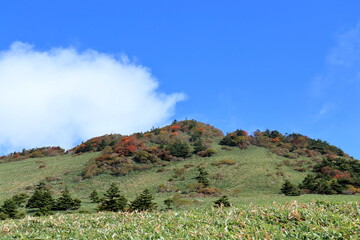 瓶ヶ森　色づく男山　（四国　愛媛県）