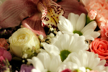 Bright bouquet of mixed flowers with lush petals and vivid spring colors