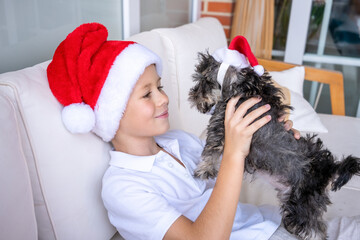 Little child boy with his schnauzer puppy dog at home. Christmas time with best friend.