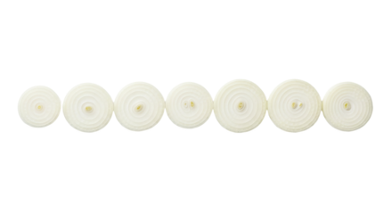 Onion slices are arranged in a horizontal row, revealing concentric rings and a central core.