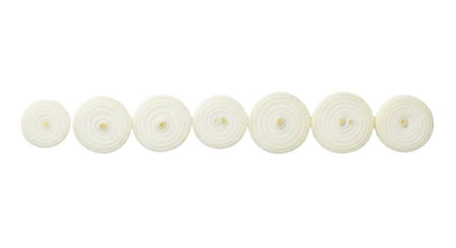 Onion slices are arranged in a horizontal row, revealing concentric rings and a central core.