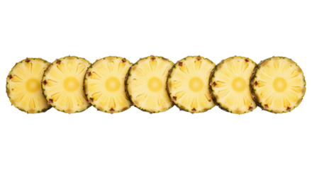Pineapple slices are arranged horizontally in a row showing their circular shape and textured surface.