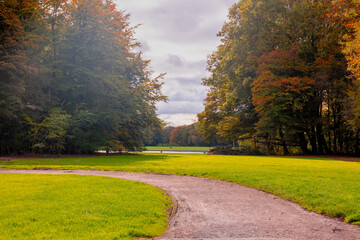Autumn landscape with view of nature gravel, Colourful yellow orange and green leaves on tree and trunks, Amsterdamse Bos (Forest) Park in the municipalities of Amstelveen and Amsterdam, Netherlands.