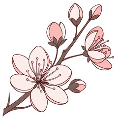 Elegant Spring Cherry Blossom Twig with Flowers Illustration