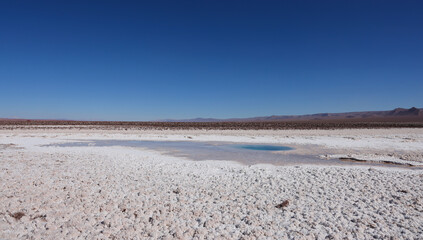 The Hidden Lagoons of Baltinache in San Pedro de Atacama, Chile