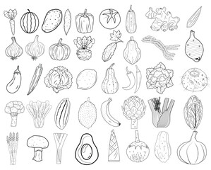 vegetables Vintage hand drawn garden vegetable collection Carrots vector set illustration