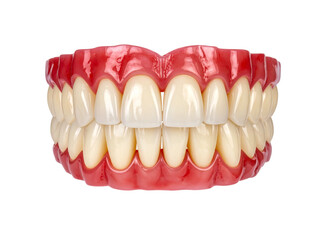 Teeth Isolated on Transparent Background; Dental Anatomy Clipart PNG