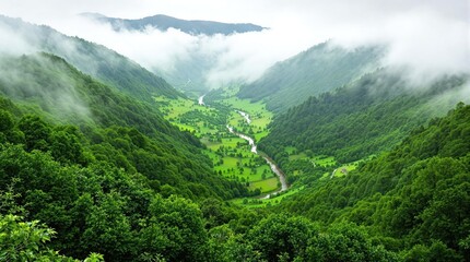 Lush valley winding through misty mountains.  A verdant river cuts through forested hills