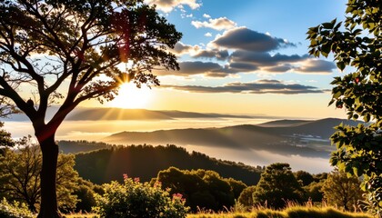 Fototapeta premium Sunrise over rolling hills and misty valley 