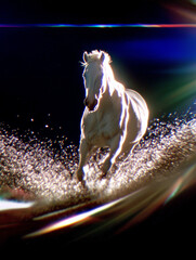 White horse galloping through water with splashes and dramatic light  