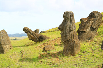 Group of unfinished massive Moai statues scattered on the slope of Rano Raraku volcano, historic Moai quarry on Easter Island, Chile, South America