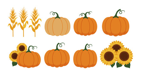 Autumn harvest elements: pumpkins, sunflowers, corn in flat design