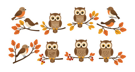 Fototapeta premium Adorable owls and birds perched on autumn branches with colorful leaves