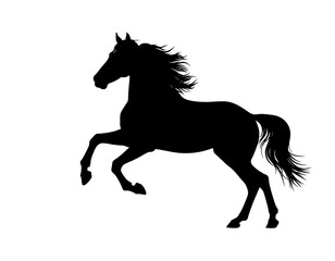 Obraz premium A graceful black silhouette of a horse in mid-air, rearing up on its hind legs. It has flowing mane and tail