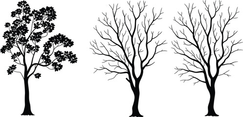 Silhouette tree illustration, seasonal tree design, bare winter branches, leafy summer canopy, nature graphic, isolated tree art, botanical vector, landscape element