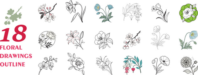 Set of 18 Floral Drawings Outline illustrations in various styles