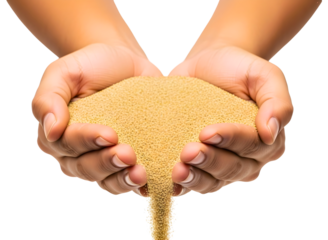 Hands holding pouring sand isolated on transparent background