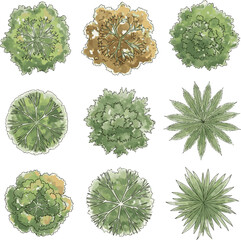 Isolated a kinds of deferent Vector tree top watercolor hand drawn view landscape plan and architecture layout drawing, elements for environment and garden vector art with white background.. © Akhi