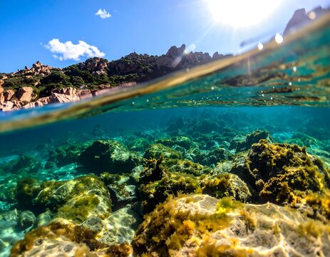 A scenic split-level view. Above, rocky terrain under a bright sun. Below, an underwater world of rocks, algae, and clear blue water