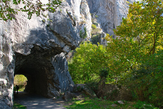 senda del oso, Teverga, Asturias, España, Spain