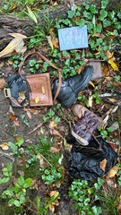 Lost woodland treasures, an eclectic collection whispers stories of forgotten autumn wanderings, echoing Earth Day reflections, Celtic Samhain lore