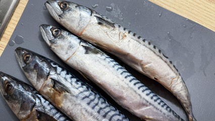 Glistening mackerels rest artfully on slate, capturing the essence of maritime harvest and Nordic midsummer celebration