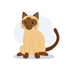 adorable siamese cat sitting.for cat lover prints pet shop branding cards and cozy home themed graphics