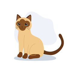 a brown and cream kitten,adorable siamese cat sitting calmly for pet lovers.
