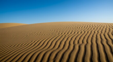 Naklejka premium The intricate patterns of wind-blown sand on a dune's surface.