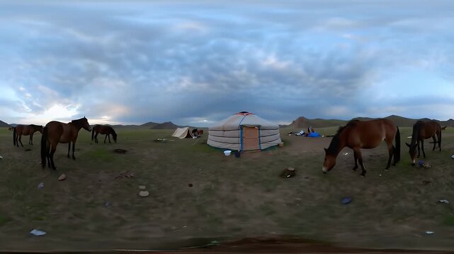Horses Grazing near Yurt.
