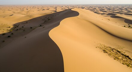 The soft, rolling curves of a barchan dune.