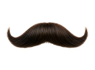 Elaborate curled dark brown mustache isolated on transparent background