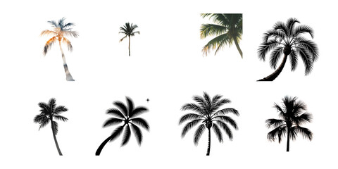 Obraz premium Silhouetted palm trees of various sizes and shapes isolated on transparent background, creating a tropical and exotic atmosphere