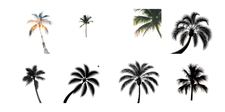 Silhouetted palm trees of various sizes and shapes isolated on transparent background, creating a tropical and exotic atmosphere - Powered by Adobe