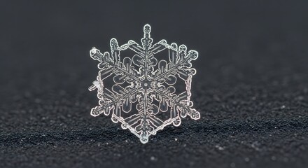 Intricate snowflake macro photography unique crystal ice formation detailed natural beauty