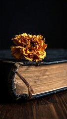 Dried flower rests on aged book against dark background