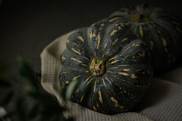 Still life harvest with green pumpkins for Thanksgiving on a towel. Autumn composition.