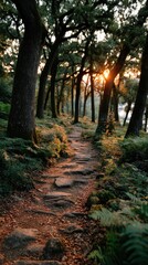 Fototapeta premium Serene woodland path illuminated by sunset rays, surrounded by lush greenery and tranquil atmosphere, perfect for nature lovers and outdoor enthusiasts