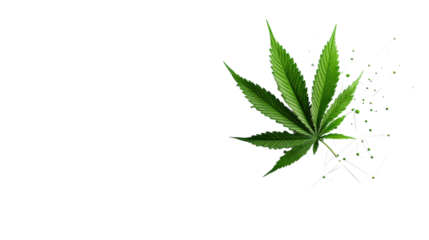 Cannabis Leaf with Geometric Design  on Transparent Background