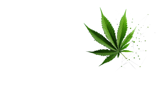 Cannabis Leaf with Geometric Design  on Transparent Background - Powered by Adobe