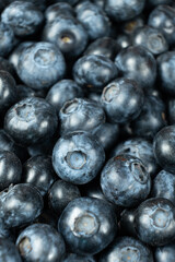 Macro View of Organic Blueberries. Natural Berry Background.