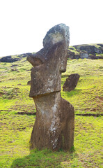 One of the massive abandoned Moai statues on Rano Raraku volcano, stunning UNESCO world heritage site on Easter Island, Chile, South America