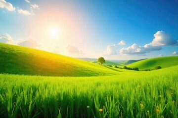 Obraz premium Golden hour sunlight bathes a vibrant summer landscape, illuminating lush green fields and a clear blue sky Perfect for travel, vacation, or seasonal themes , blue sky, light