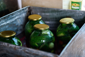 Preservation of season vegetables. A woman sterilizing jars of cucumbers and tomatoes in a large barrel in the kitchen.