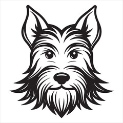 Loyal Vigilant Miniature Schnauzer Portrait, The Terrier Breed with Wiry Haired Coat, Distinctive Bushy Eyebrows and Hypoallergenic Guard Dog Nature.