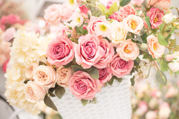 bouquet of pink roses on pink background, 
